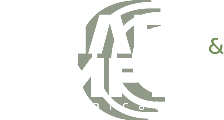 Smart&Simple Logo White