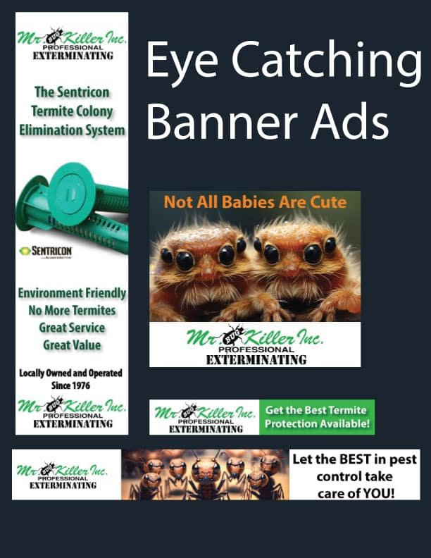 Creative Banner Ads